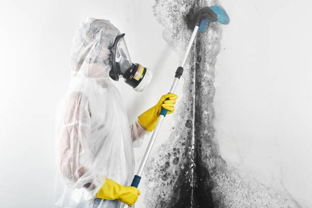 Best Dehumidification Services  in Valatie, NY