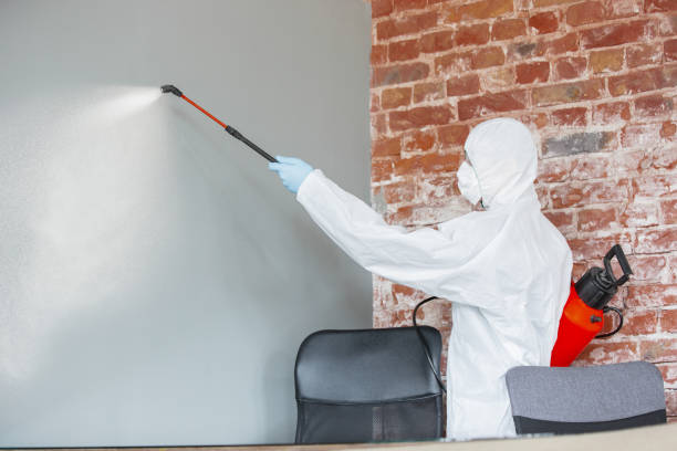 Best Mold Odor Removal Services  in Valatie, NY
