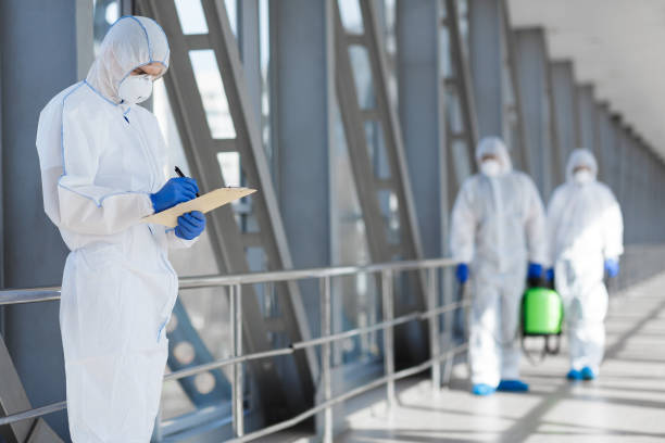 Best Black Mold Removal  in Valatie, NY