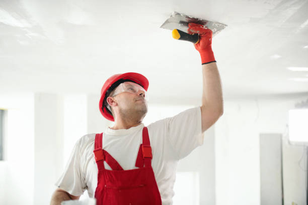 Best Attic Mold Removal  in Valatie, NY