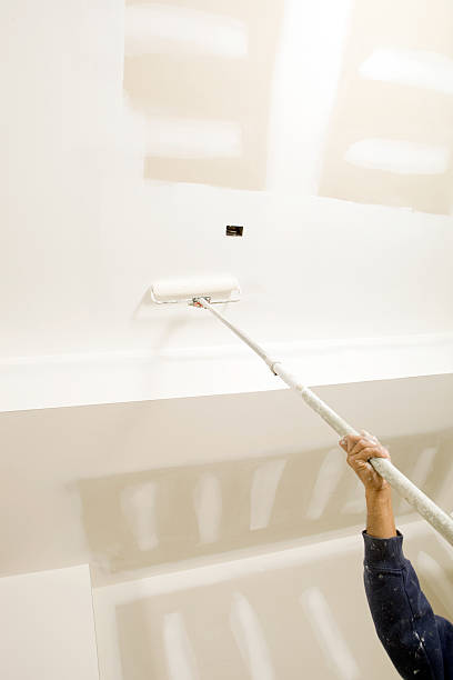 Best Basement Mold Removal  in Valatie, NY